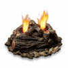 Real Flame 310 2-can Outdoor Convert-To-Gel Log Set